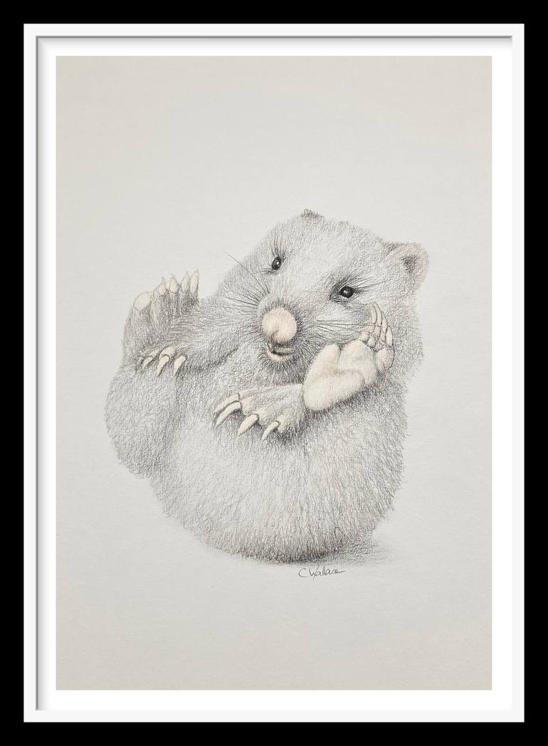 Original Illustration Animal Drawing by Catherine Wallace