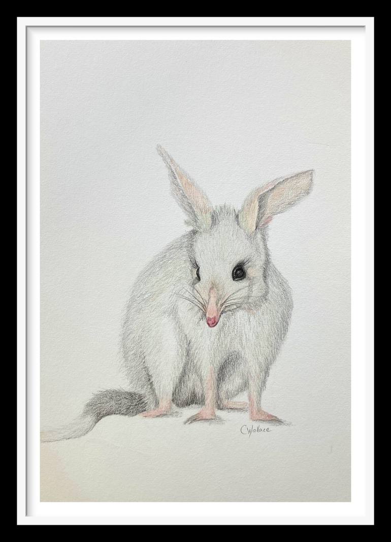 Original Illustration Animal Drawing by Catherine Wallace