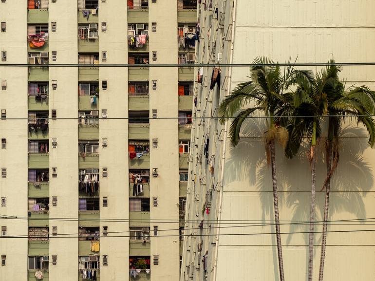 Original Architecture Photography by Serge Horta | Abstract Art on Paper | Concrete, Palm Trees and Power Lines - Signed Limited Edition