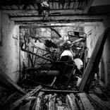 When Nature Reclaims by Serge Horta