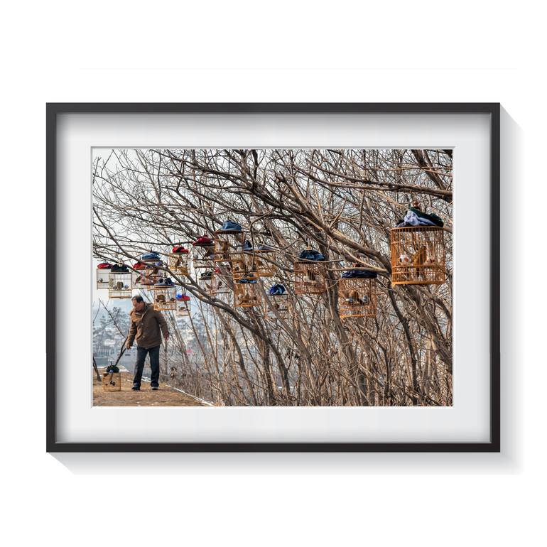 Original Documentary Animal Photography by Serge Horta