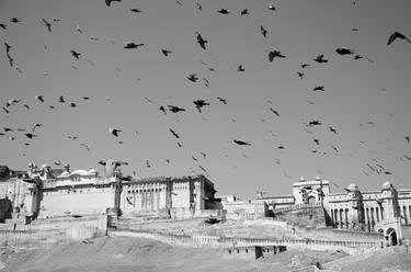 The Birds, Jaipur '13 - Signed Limited Edition thumb