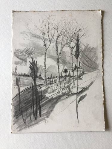 Original Landscape Drawings by clive warwick