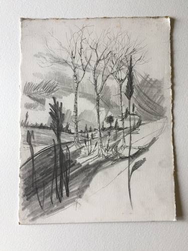 Original Figurative Landscape Drawings by clive warwick