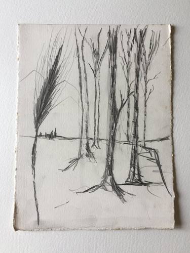 Original Figurative Landscape Drawings by clive warwick