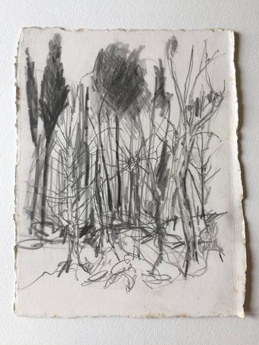 Original Figurative Landscape Drawings by clive warwick