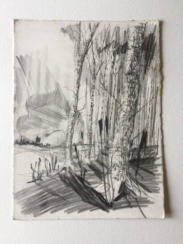 Original Figurative Landscape Drawings by clive warwick