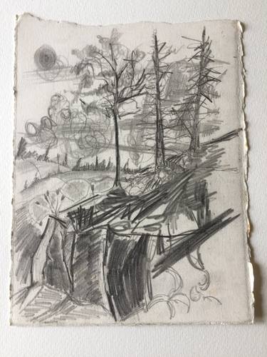 Original Figurative Landscape Drawings by clive warwick