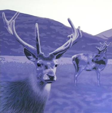 Original Animal Paintings by Fiona Cockburn
