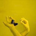 Collection Photography Under $2,500