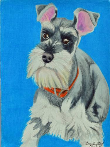 Original Dogs Drawings by Amy Husted