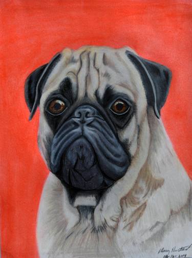 Original Realism Dogs Drawings by Amy Husted