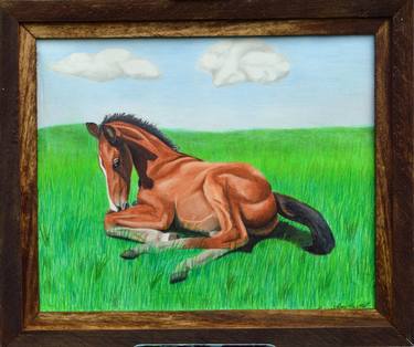 Print of Photorealism Horse Drawings by Amy Husted