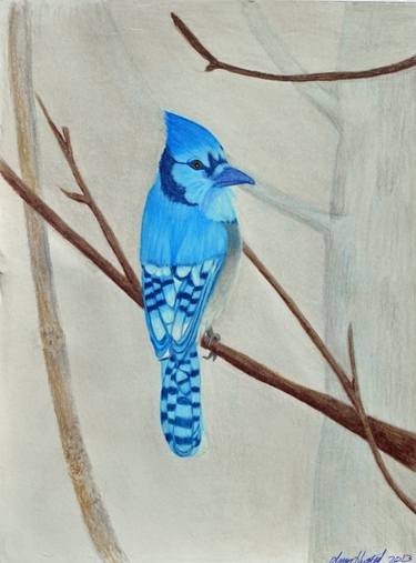 Original Realism Animal Drawings by Amy Husted