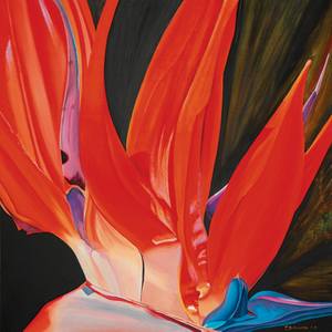 Collection Color Moment: Reds