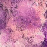 Violeta by Michael Wallace