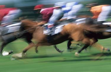 Print of Horse Photography by gilles targat