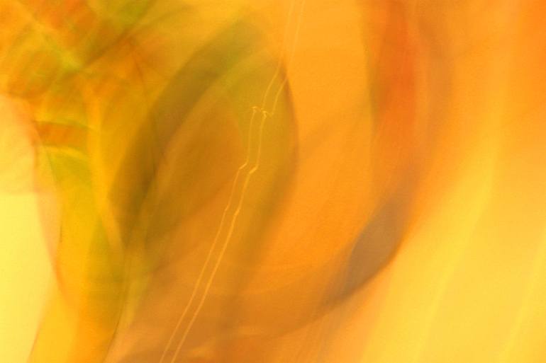 Original Abstract Photography by Alan Babbitt