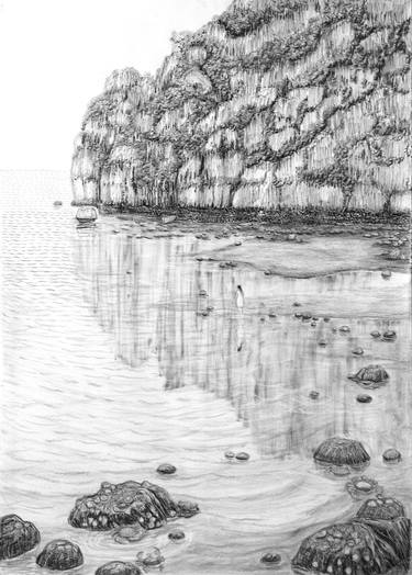 Original Abstract Seascape Drawings by Phong Trinh