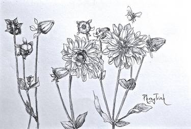 Original Realism Floral Drawings by Phong Trinh