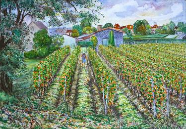 Ruralism : France, St Emilion Village's Late Harvest thumb