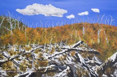 Original Landscape Paintings by Patricia Gould