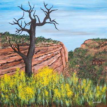 Original Landscape Paintings by Patricia Gould