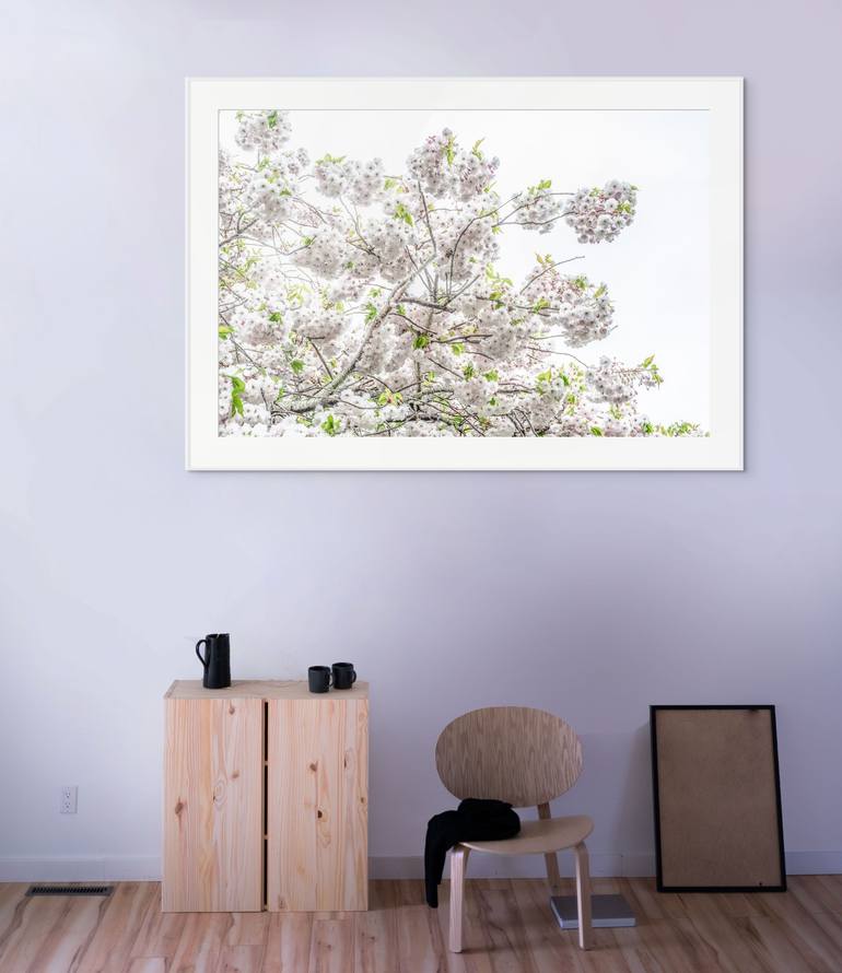 Original Contemporary Nature Photography by Adam Regan