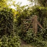 The End of Love Lane by Adam Regan