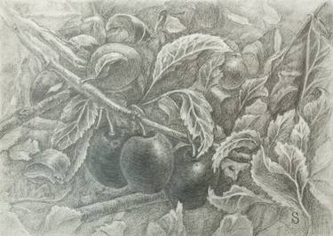 Original Realism Nature Drawings by Stanchak Iaroslav