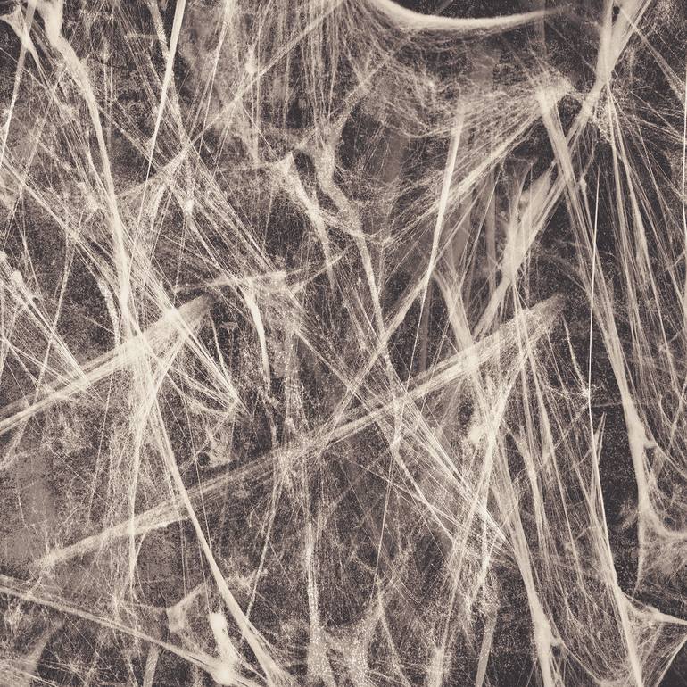 cobwebs - Print