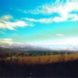 Landscape collage 1 by Charlotte Aston