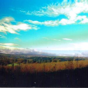 Landscape collage 1