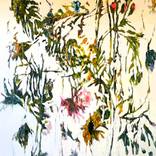 Lunar Wildflowers an Optimists Anthem by ANGELA RUTH D'AGOSTINO