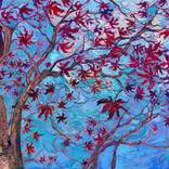 Maple on Blue by Erin Hanson