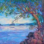 San Juan Madrones by Erin Hanson