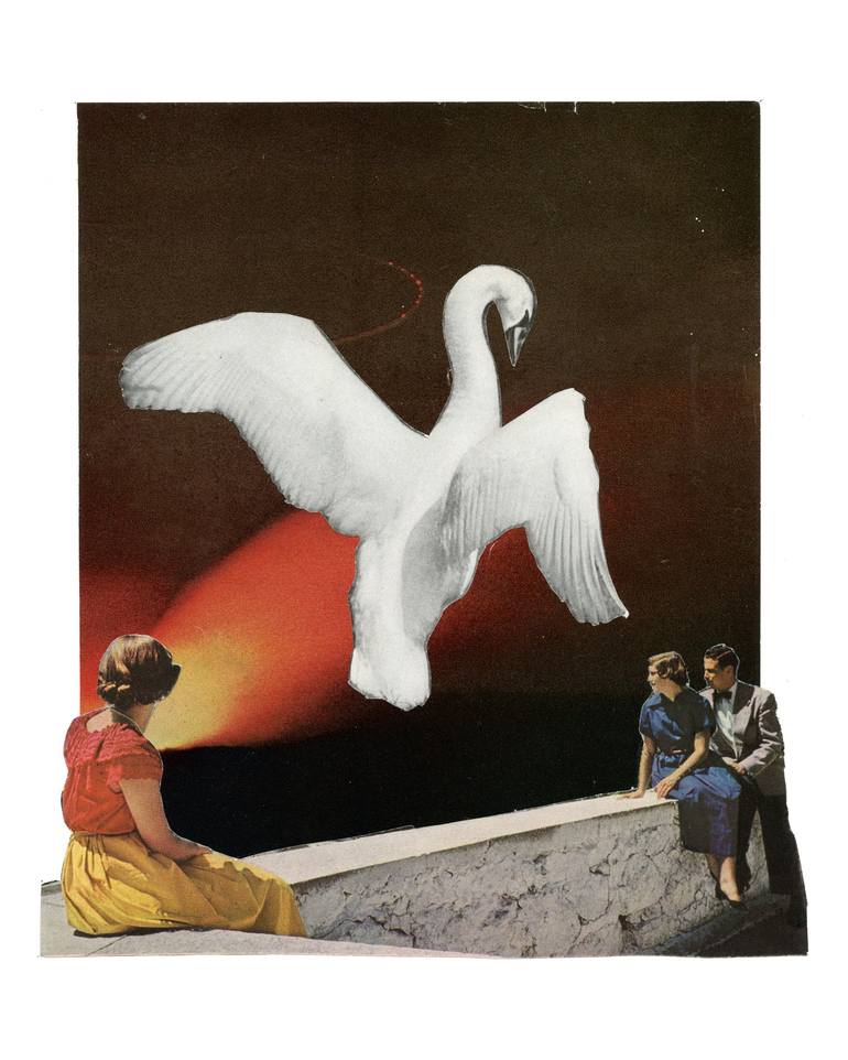 Print of Surrealism Animal Collage by Tracy Jager