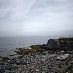 The Sea Within