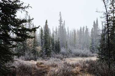 First Frost at Tin Can Hill - Limited Edition 1/10 thumb