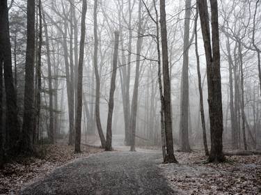 Print of Documentary Landscape Photography by Dyanne Wilson