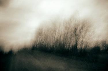 Original Expressionism Nature Photography by Agnes Mezosi