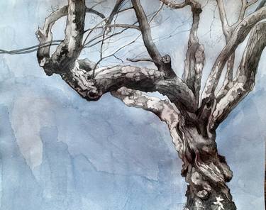 Print of Figurative Tree Drawings by David Michael Hollander