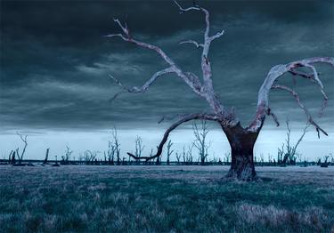 Original Expressionism Landscape Photography by Julian Cook