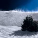 Sand Storm - Limited Edition of 50 by Julian Cook