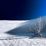 Last Light - Limited Edition of 50 by Julian Cook