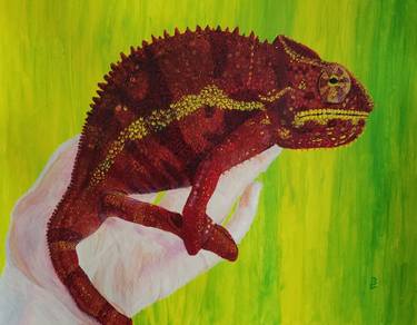 Chameleon #5 thumb