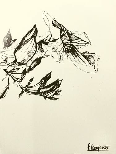 Print of Figurative Floral Printmaking by Patricia Coenjaerts