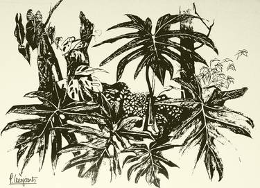 Print of Figurative Botanic Printmaking by Patricia Coenjaerts
