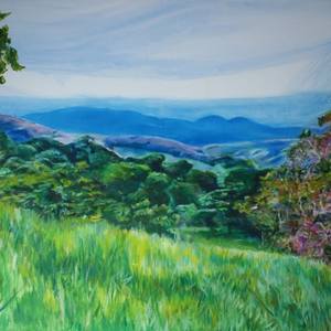 Collection Oil Paintings