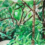 Collection Watercolor Painting by Patricia Coenjaerts